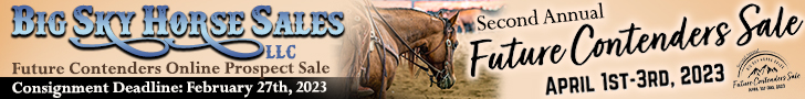 Big Sky Horse Sales - Future Contenders Prospects Sale