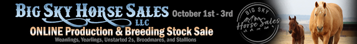 Big Sky Horse Sales - Online Production & Breeding Stock Sale