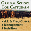 Graham School For Cattlemen - Learn How to A.I. Cattle and more!