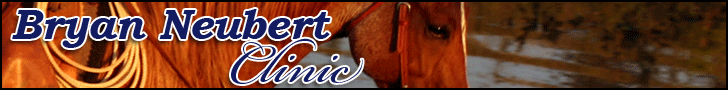 Horses For Sale Ranch Classifieds Horses For Sale Ranch Classifieds