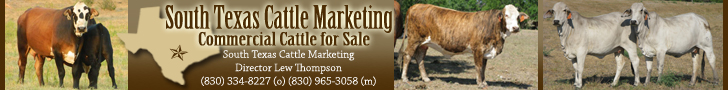 South Texas Cattle Marketing's Cattleman's Opportunity Sale South Texas Cattle Marketing's Cattleman's Opportunity Sale