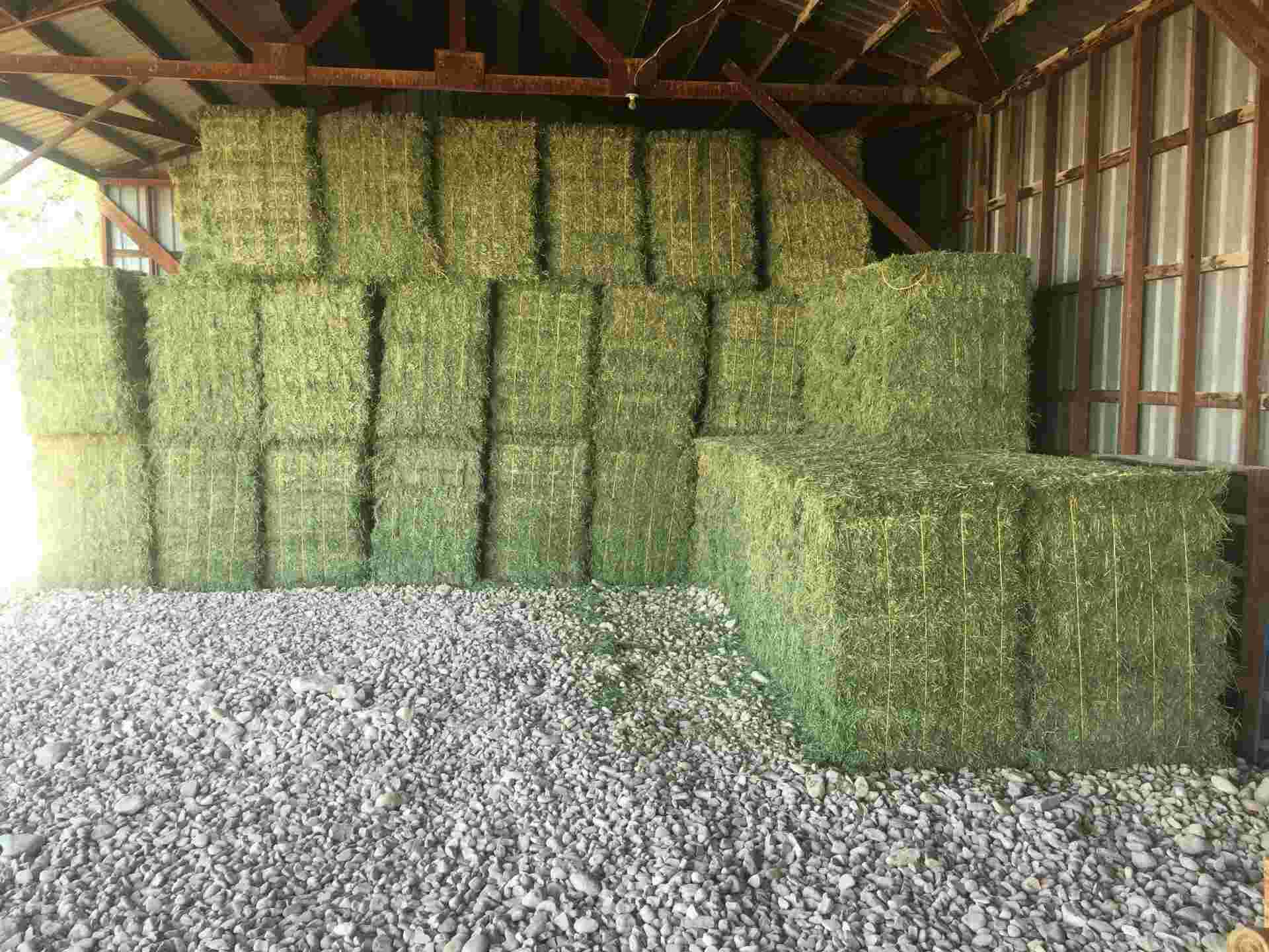 200 Tons Certified Weed Free Small Square Alfalfa Bales Wyoming