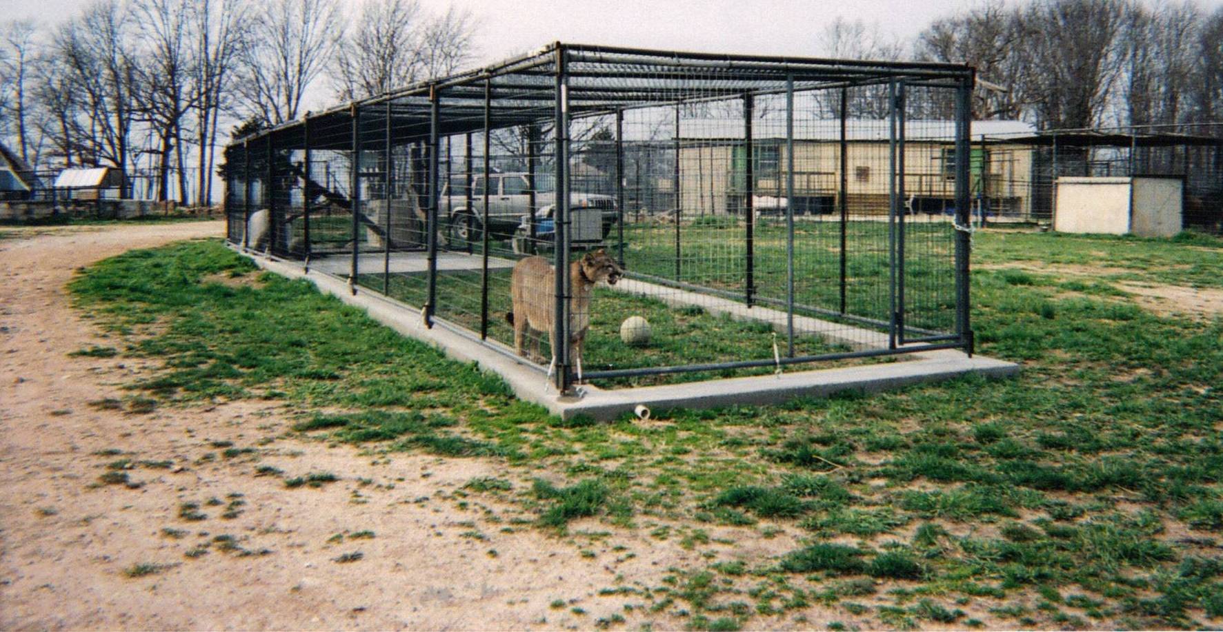 priefert dog kennels priefert dog kennels