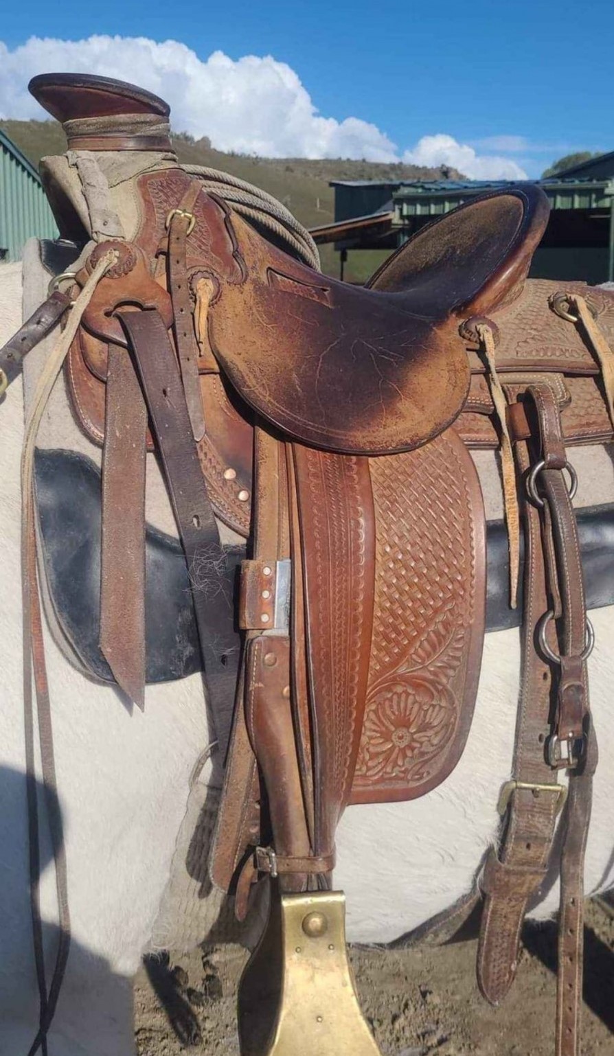 15 1/2 inch Mike Bernard Wade Saddle