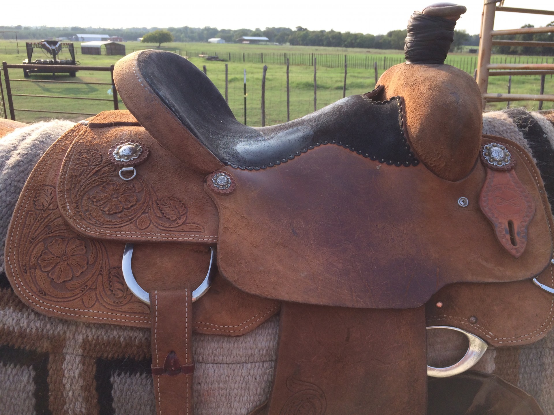 infinity saddle review