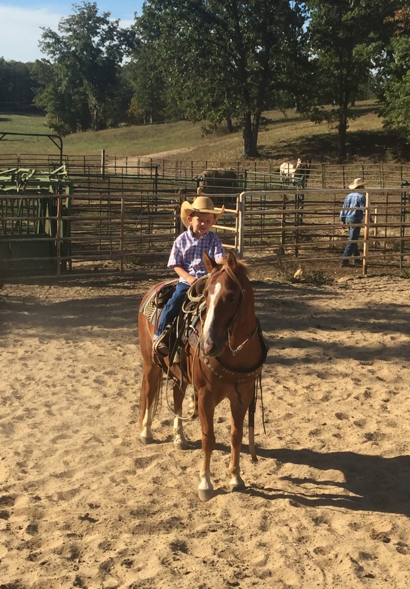 13-year-old-sorrel-flaxen-mane-tail-12-hand-pony
