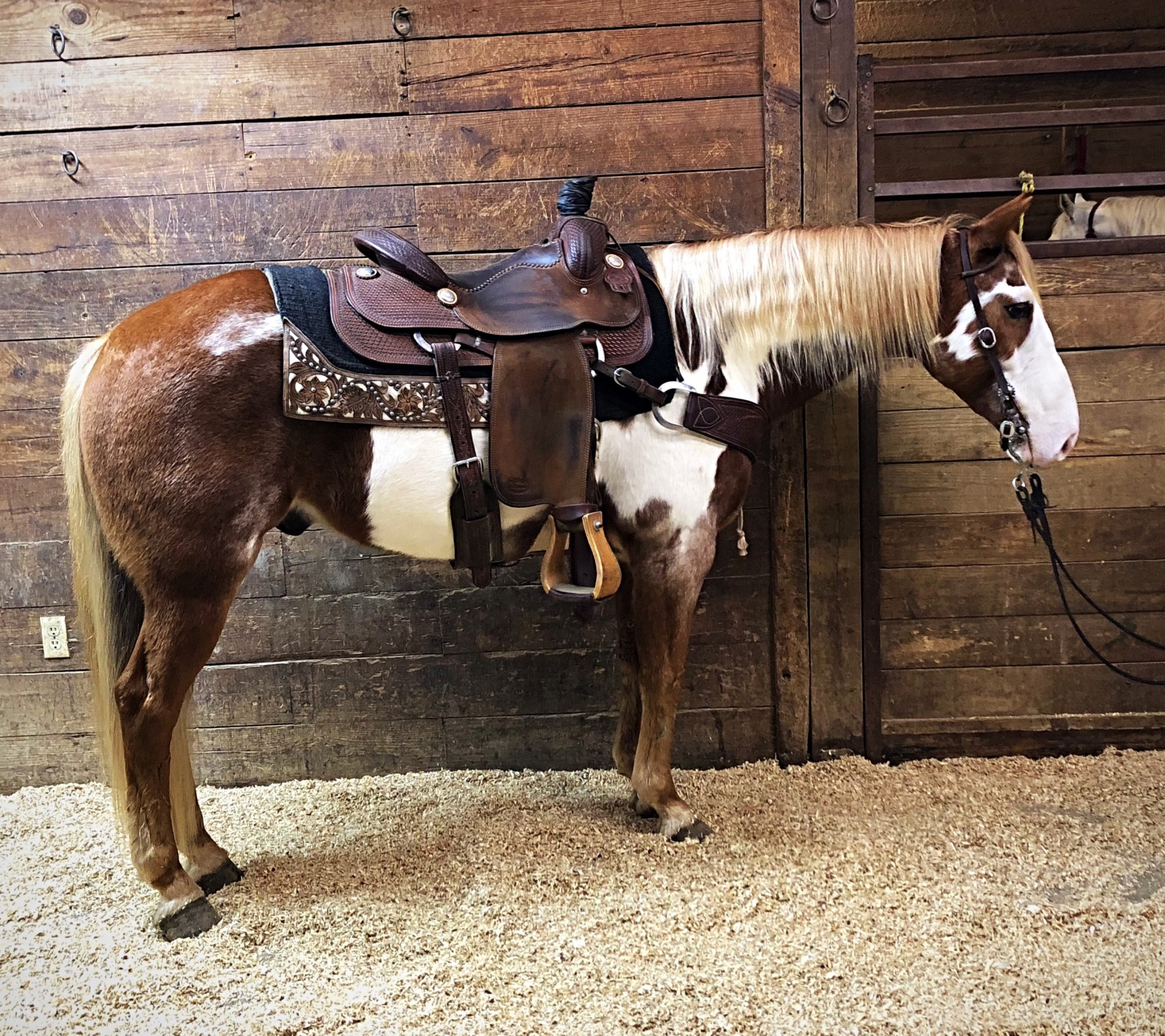 What is Fancy Broke Horse