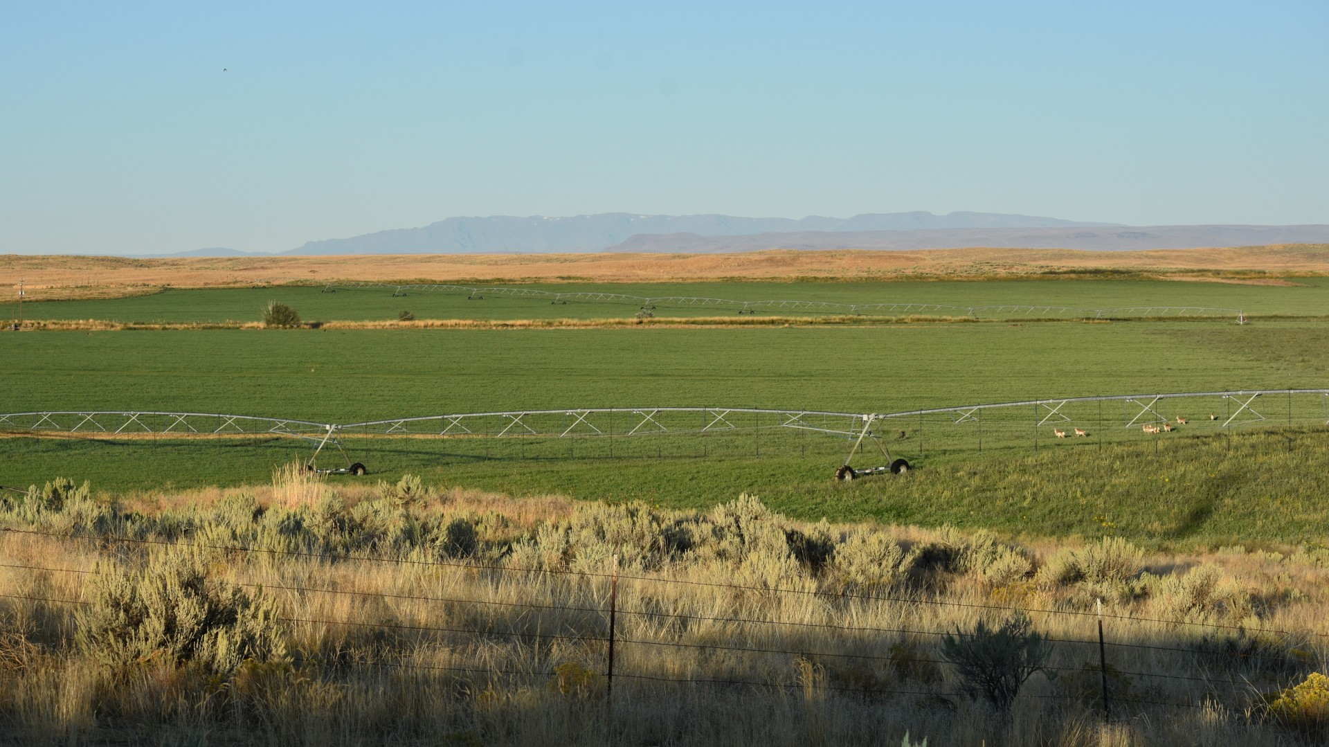 400 Head Ranch Jordan Valley Oregon