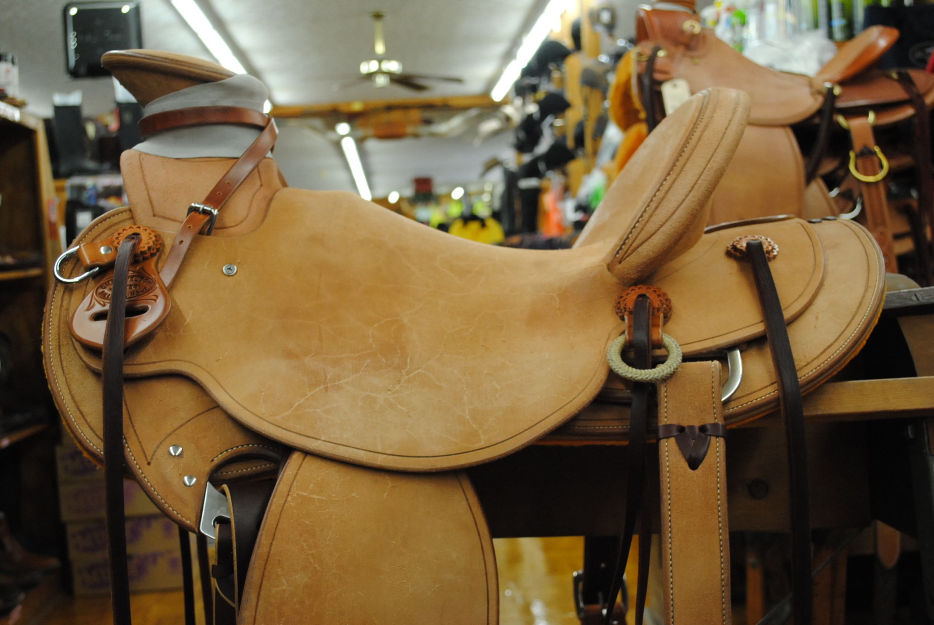 saddle chas weldon wade fullsize