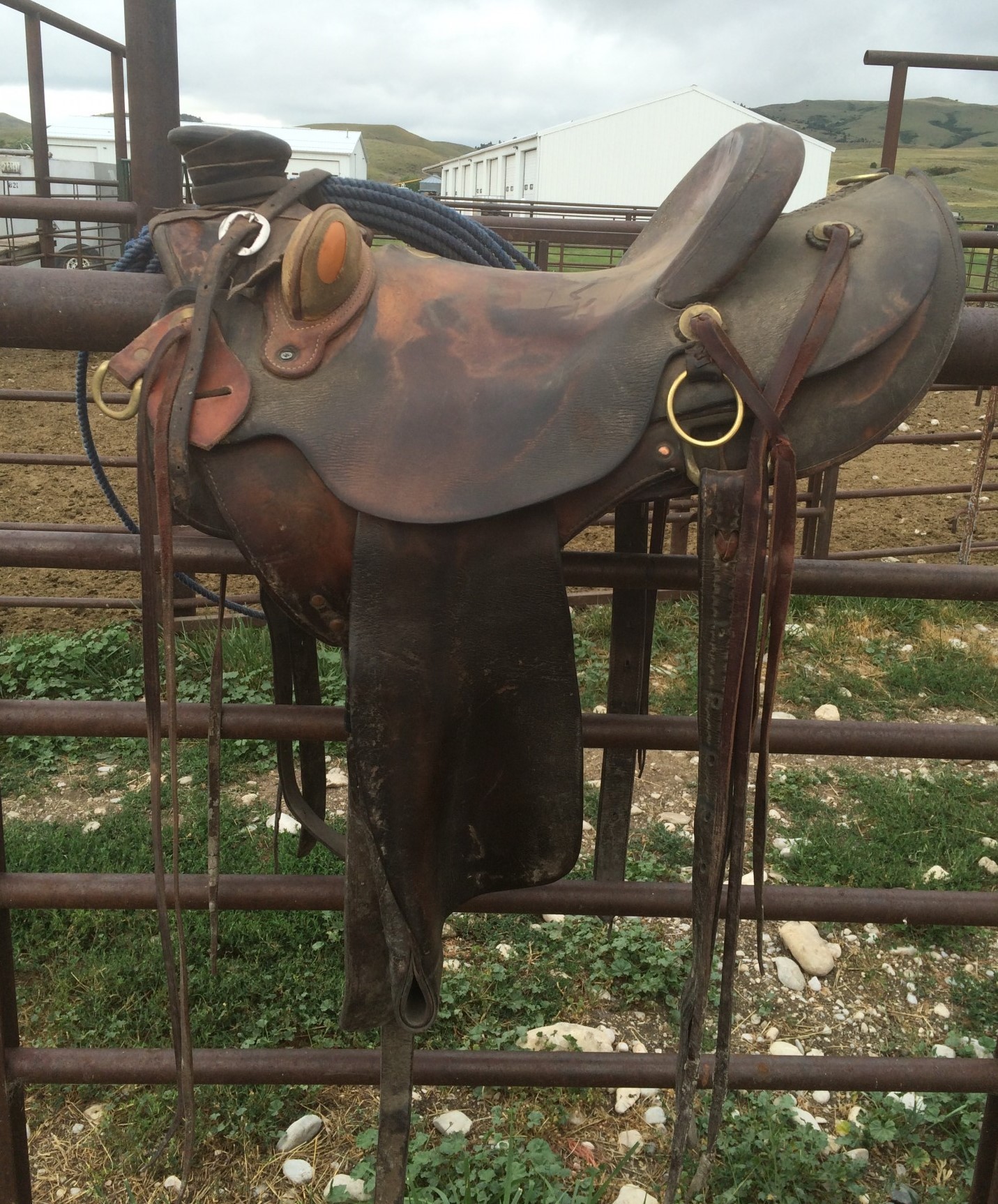 wade animals for sale