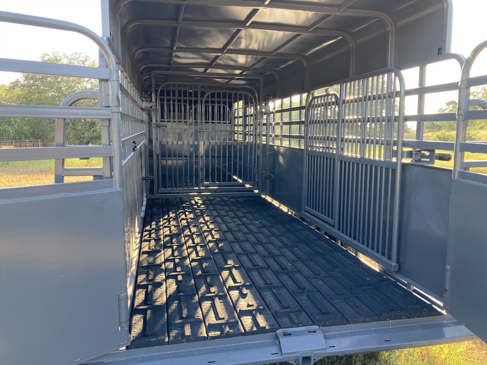 2023 Big Bend livestock