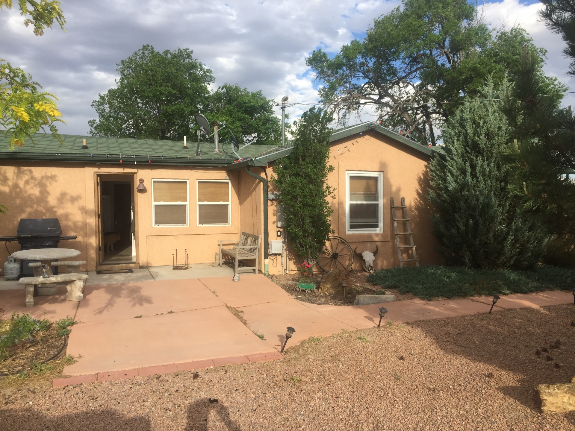 Sweet Little Horse Property for RENT/LEASE Colorado