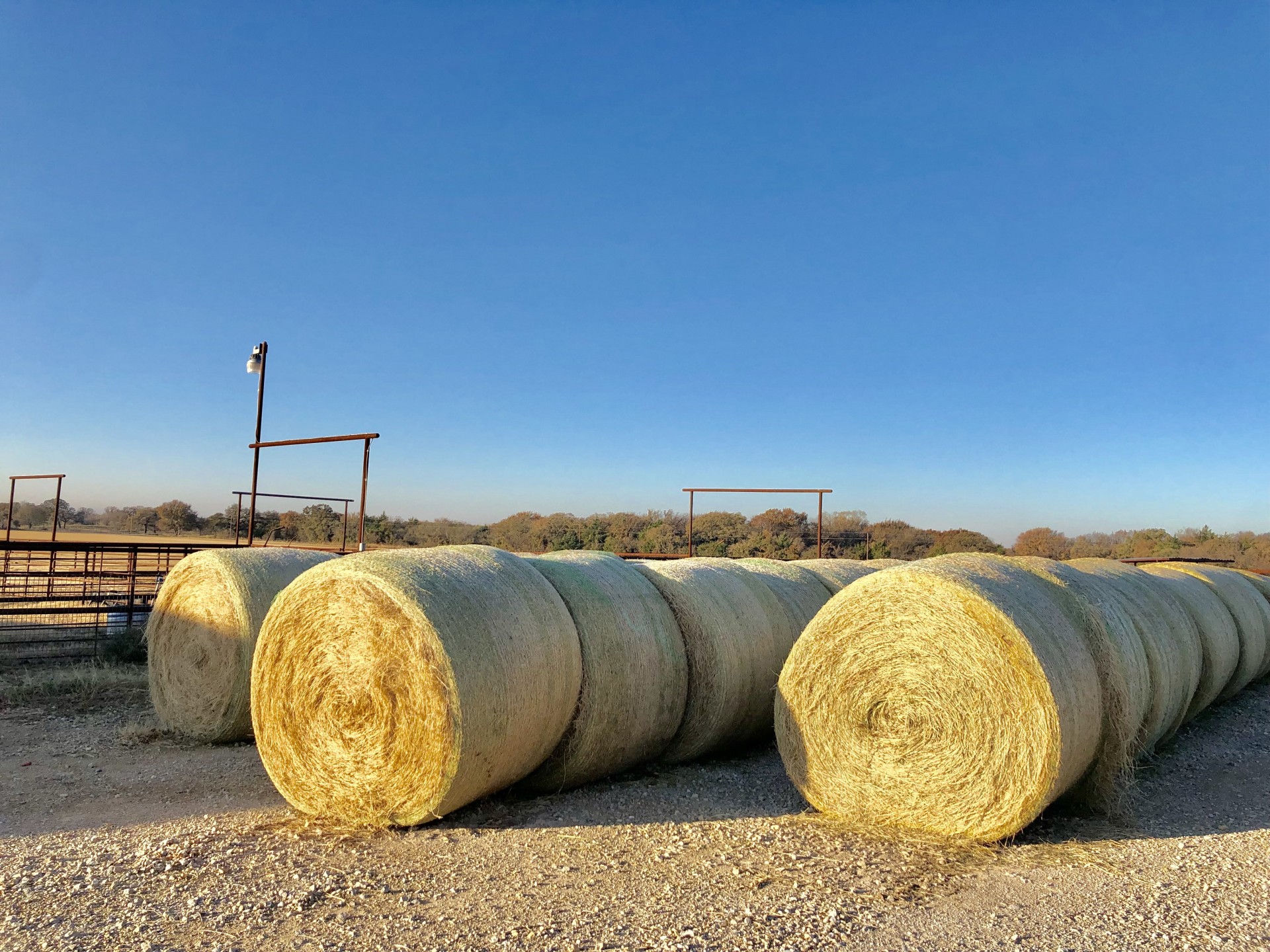 300 2019 Premium Coastal Hay Texas