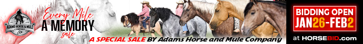 Adams Horse & Mule Co. - Every Mile A Memory Sale