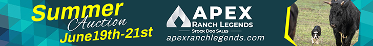 Apex Ranch Legends Stock Dog Sale