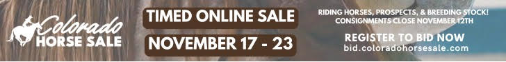 Colorado Horse Sale