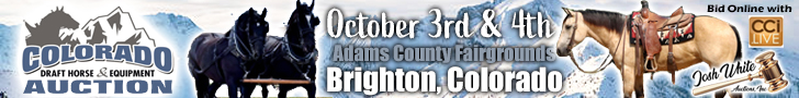 Colorado Draft Horse & Equipment Auction