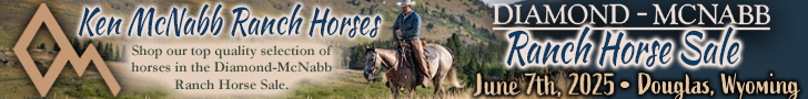 Ken McNabb Ranch Horses at the Diamond - McNabb Ranch Horse Sale