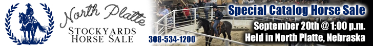 North Platte Stockyards Horse Sale - Sept. 20th - North Platte, Nebraska