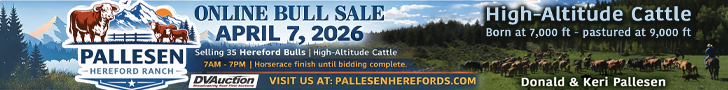 Pallesen Hereford Ranch Online Bull Sale