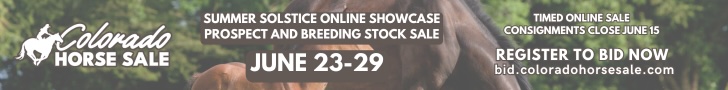 Colorado Horse Sale
