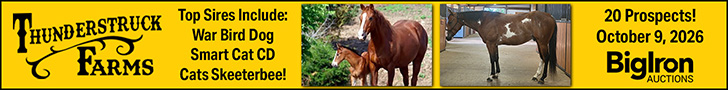 Thunderstruck Farms Prospect Sale