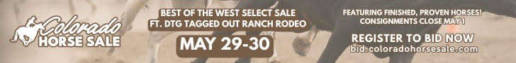 Colorado Horse Sale