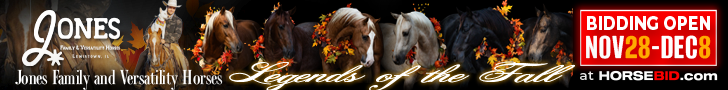 Jones Family & Versatility Horses Legends of the Fall Online Sale