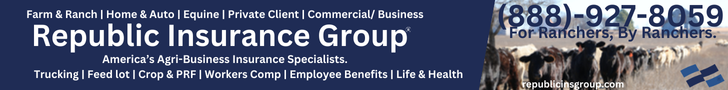 Republic Insurance Group