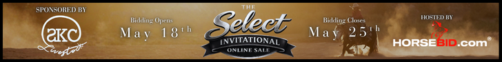 The Select International Online Sale - HorseBid.com - May 18th - 25th