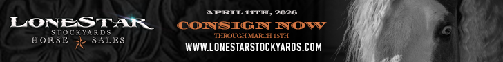 Lonestar Stockyards Horse Sale - Consign Now