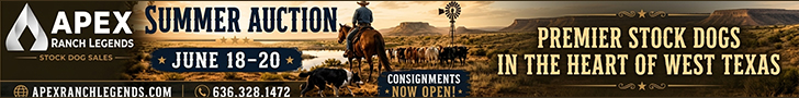 Apex Ranch Legends Stock Dog Sale Apex Ranch Legends Stock Dog Sale