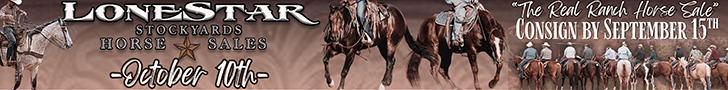 Lonestar Stockyards - The Real Ranch Horse Sale Lonestar Stockyards - The Real Ranch Horse Sale