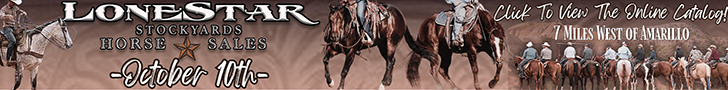 Lonestar Stockyards - The Real Ranch Horse Sale Lonestar Stockyards - The Real Ranch Horse Sale