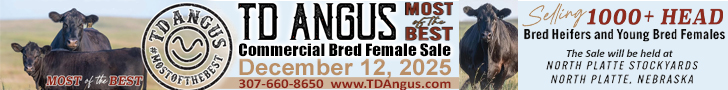 TD Angus - Bred Female Sale TD Angus - Bred Female Sale