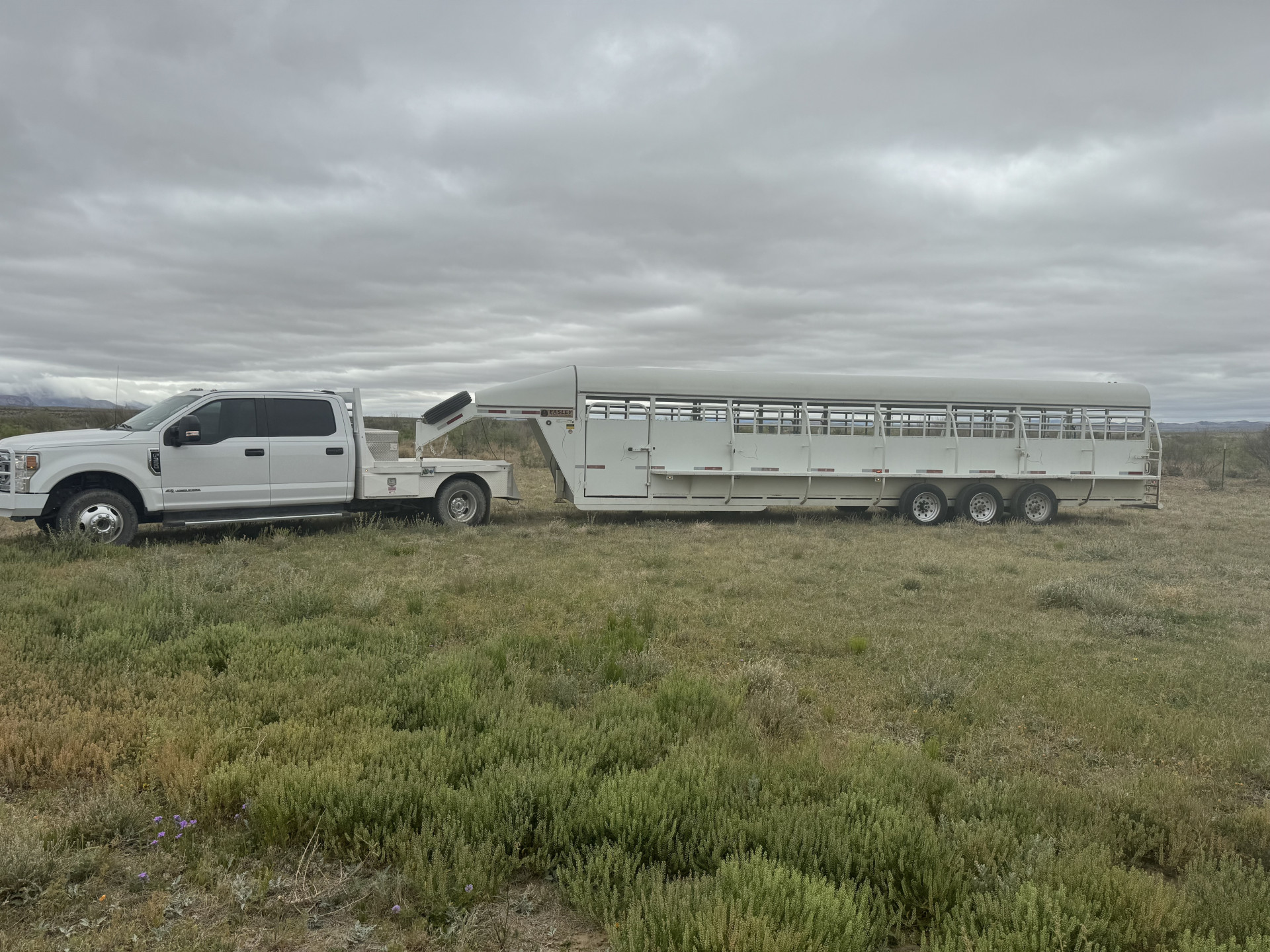 2018 Easley trailer