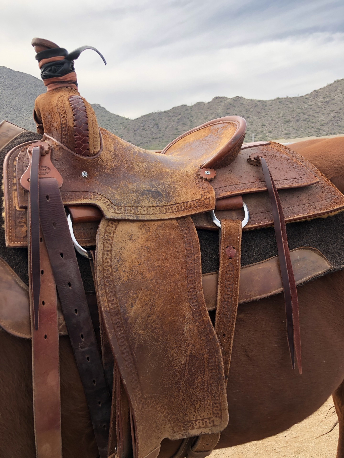 Ranch World Ads Jobs 10 - n2kyskg