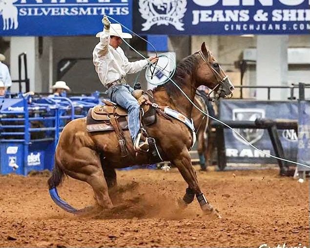 Jeff Smith &amp; 3 Point Productions WORLD CUP ROPE HORSE SALE