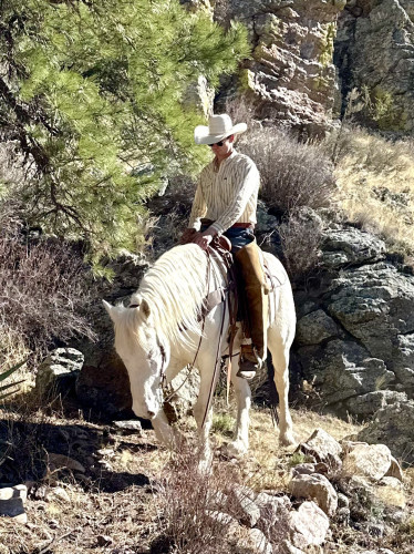 Quarter Horse (Quarter Horse, Gelding) in Magdalena, NM