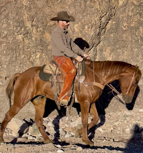 Quarter Horse (Quarter Horse, Gelding) in Magdalena, NM