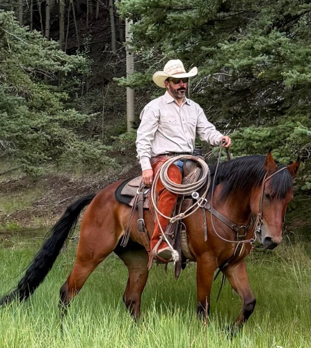 Quarter Horse (Quarter Horse, Gelding) in Magdalena, NM