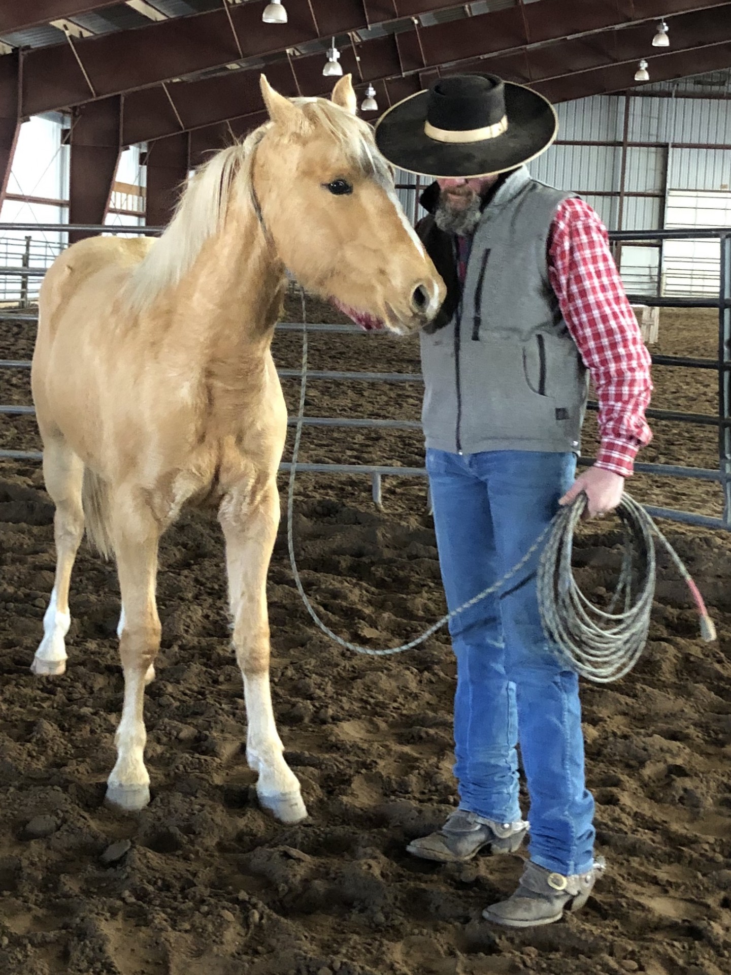 Colt Starting Horse Training Wyoming